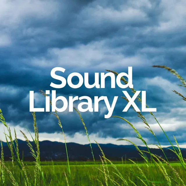 Sound Library XL