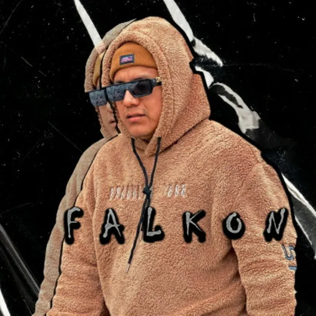 FalKon