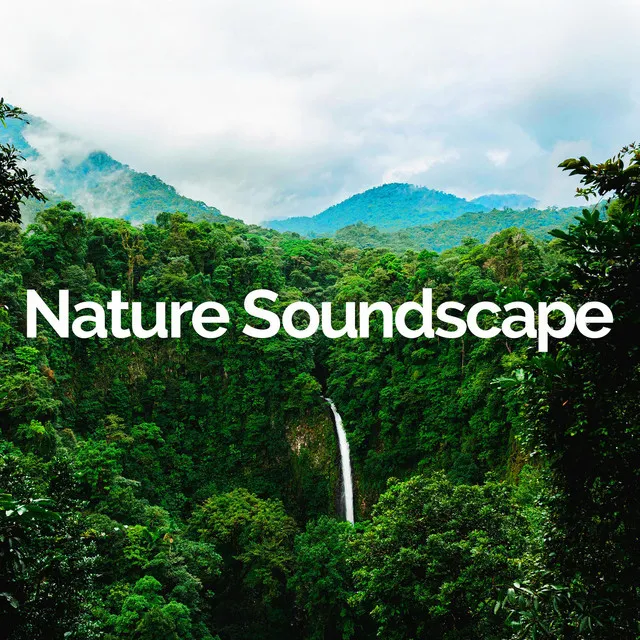 Nature Soundscape