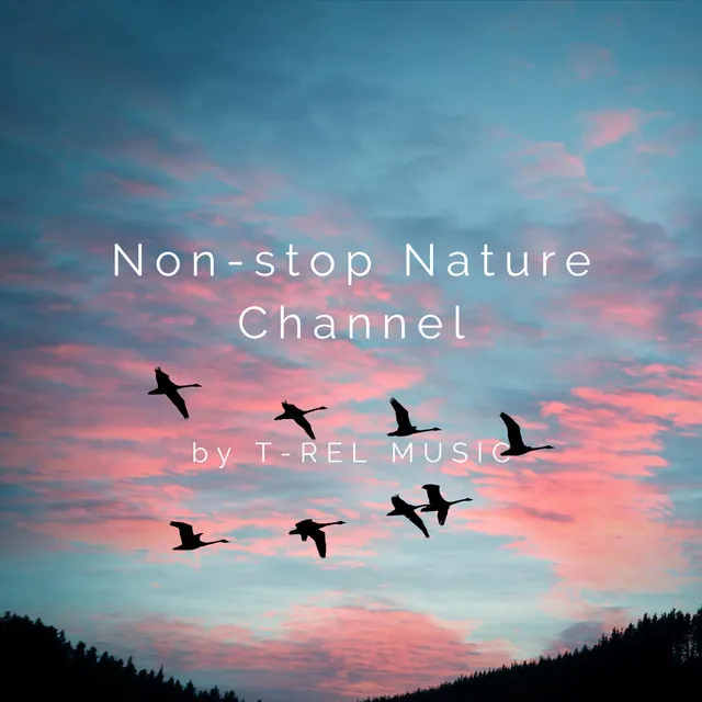 Non-stop Nature Channel