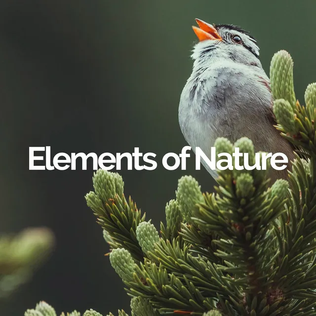 Elements of Nature