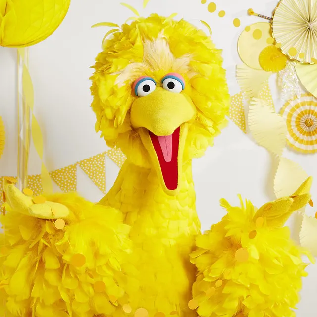 Big Bird