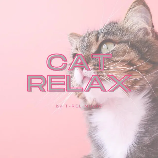 Cat Relax