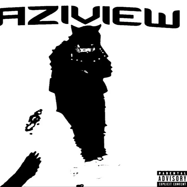 Kaziview