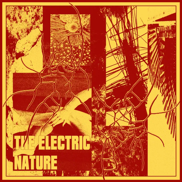 The Electric Nature