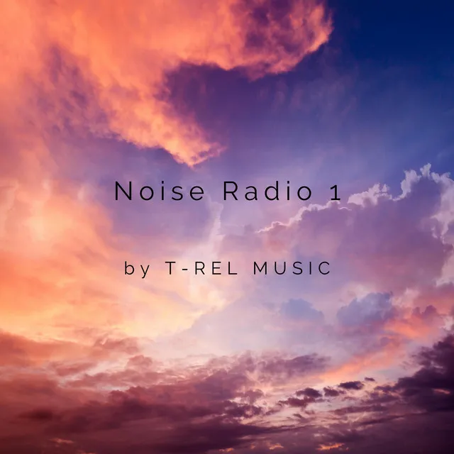 Noise Radio 1