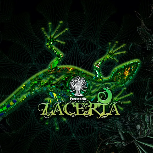 Lacerta