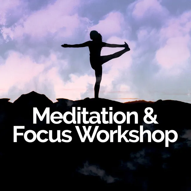 Meditation & Focus Workshop