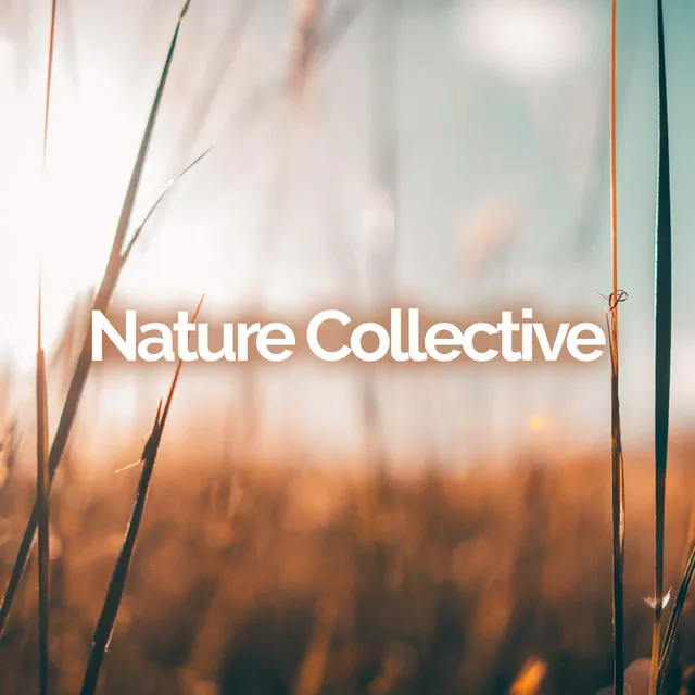 Nature Collective