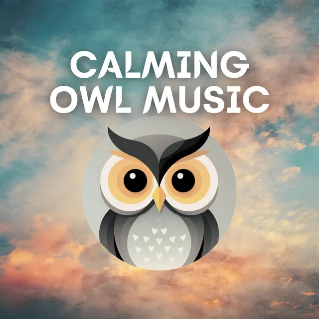 Calming Owl