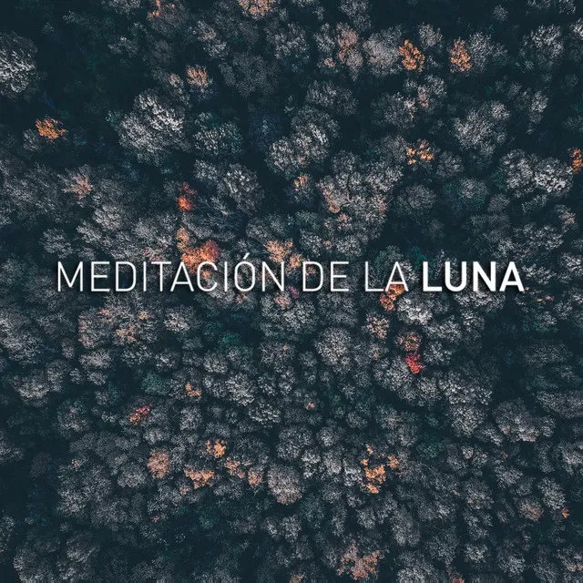 Meditación De La Luna