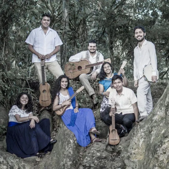 Quinto Cerro-Son Jarocho