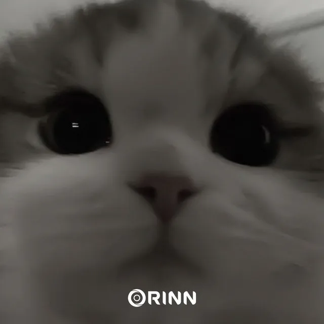 Orinn Sped