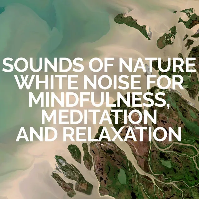 Sounds of Nature White Noise for Mindfulness, Meditation and Relaxation