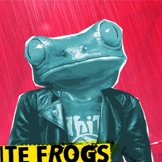 White Frogs