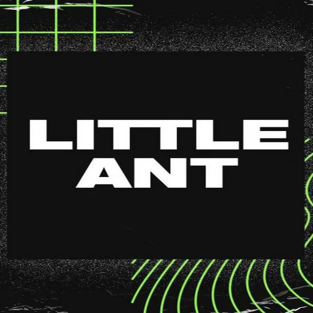 Little Ant