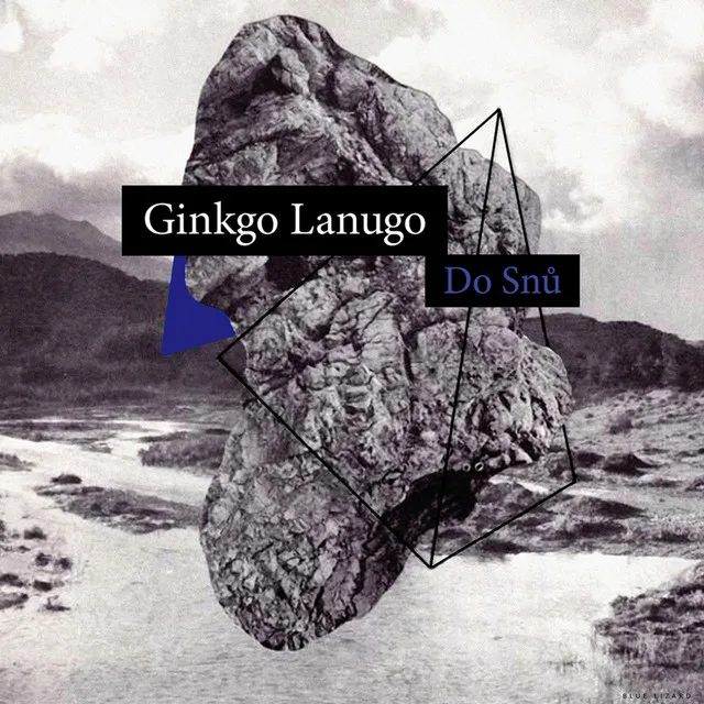 Ginkgo Lanugo