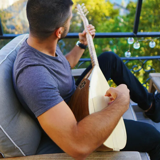 Italian Mandolin Torna A Surriento