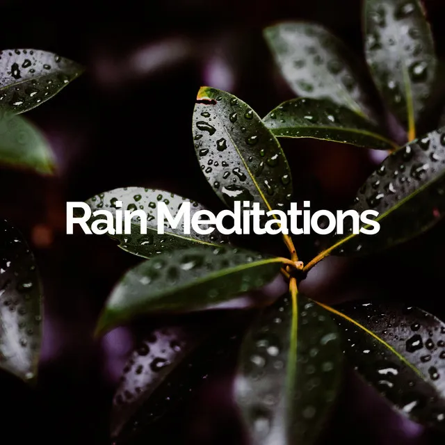 Rain Meditations