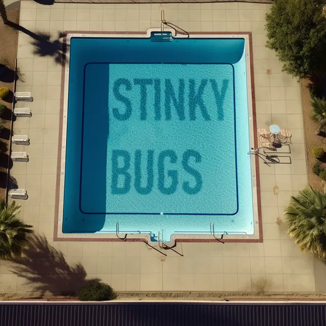 Stinky Bugs