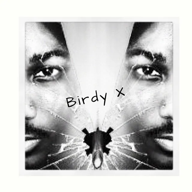 Birdy X