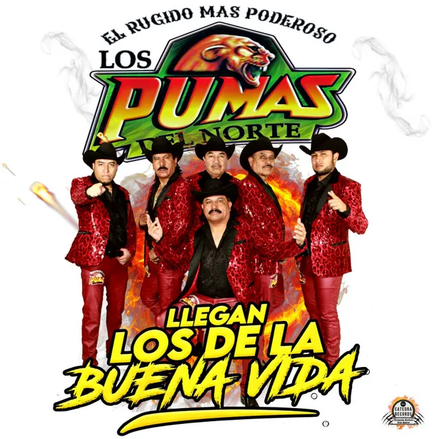 Los Pumas Del Norte