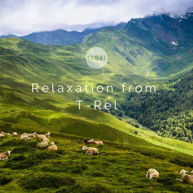 Relaxation from T-Rel