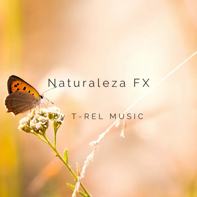 Naturaleza FX