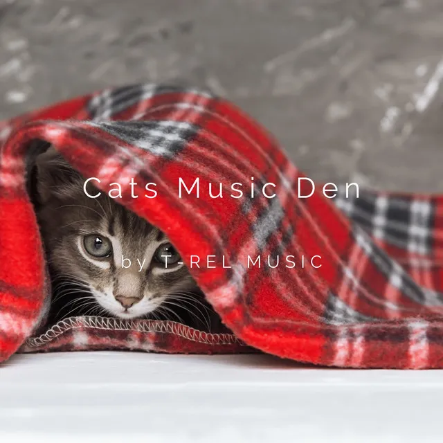 Cats Music Den