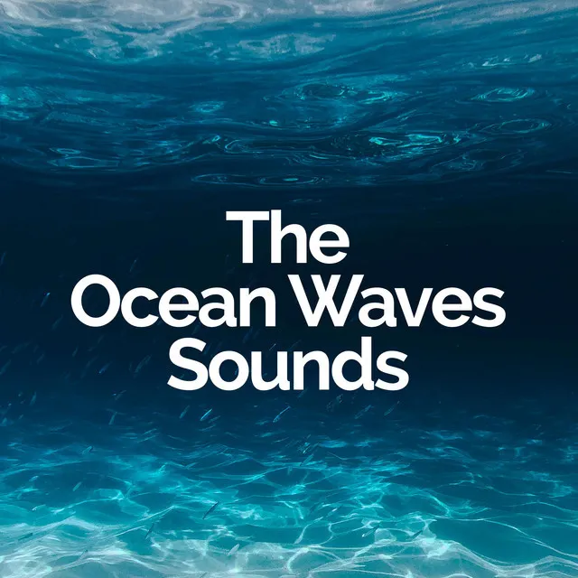 The Ocean Waves Sounds