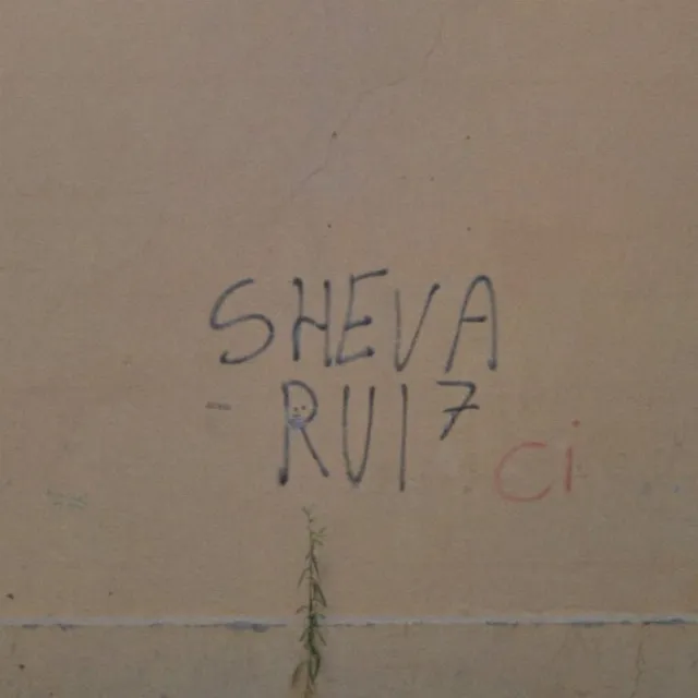 Sheva Rui 7