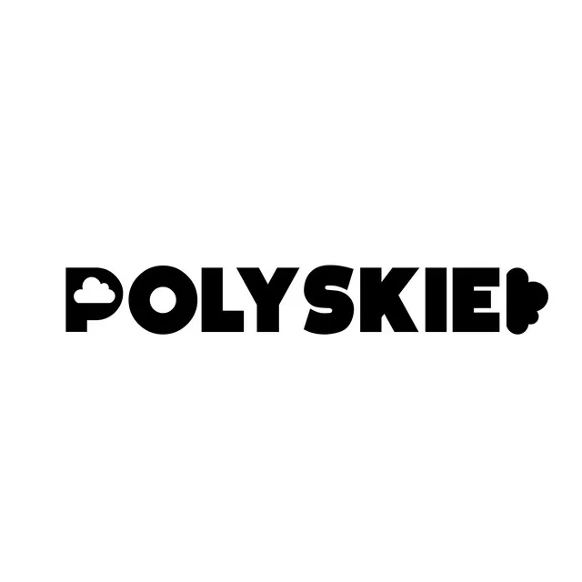 Polyskies