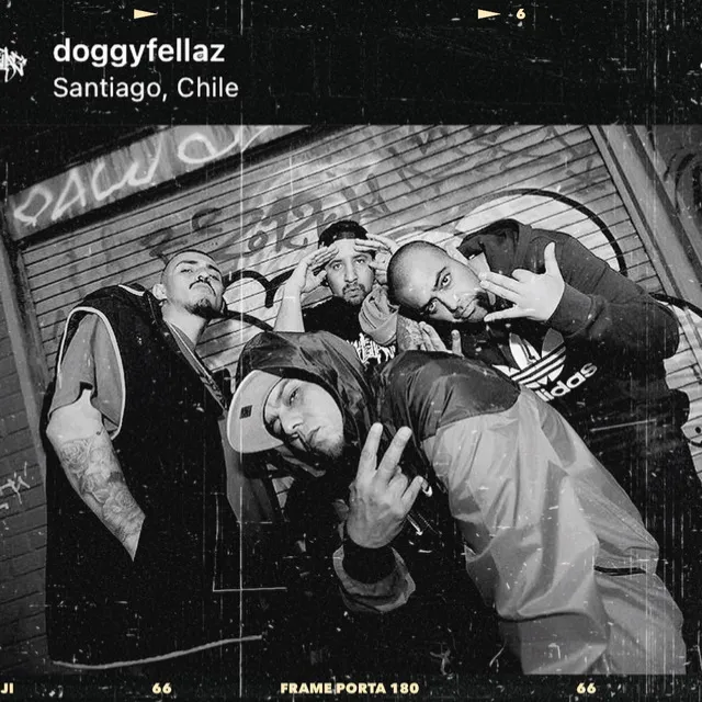 Doggyfellaz