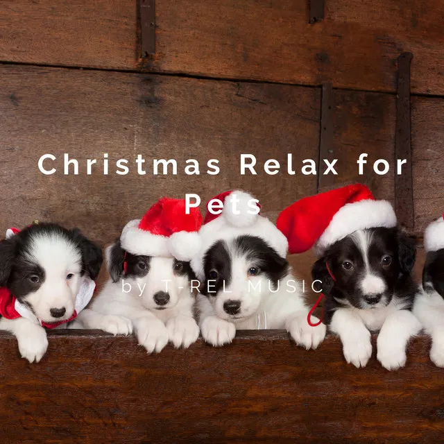 Christmas Relax for Pets