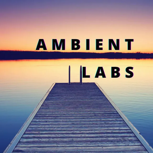 Ambient Labs