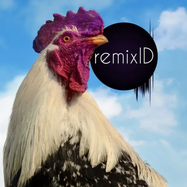 Remix ID