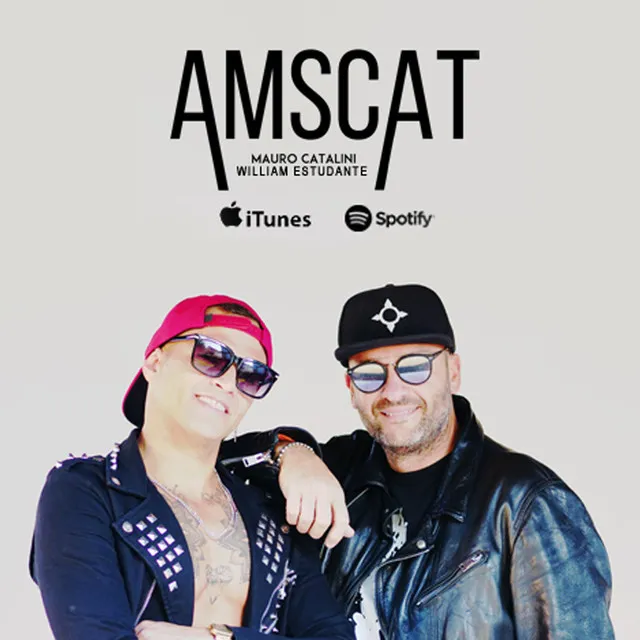 Amscat