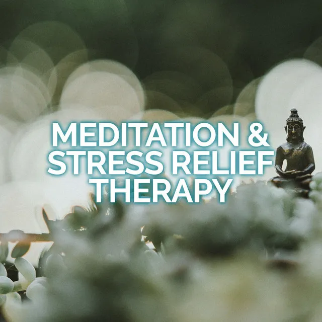 Meditation & Stress Relief Therapy