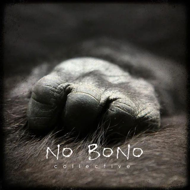 No Bono Collective