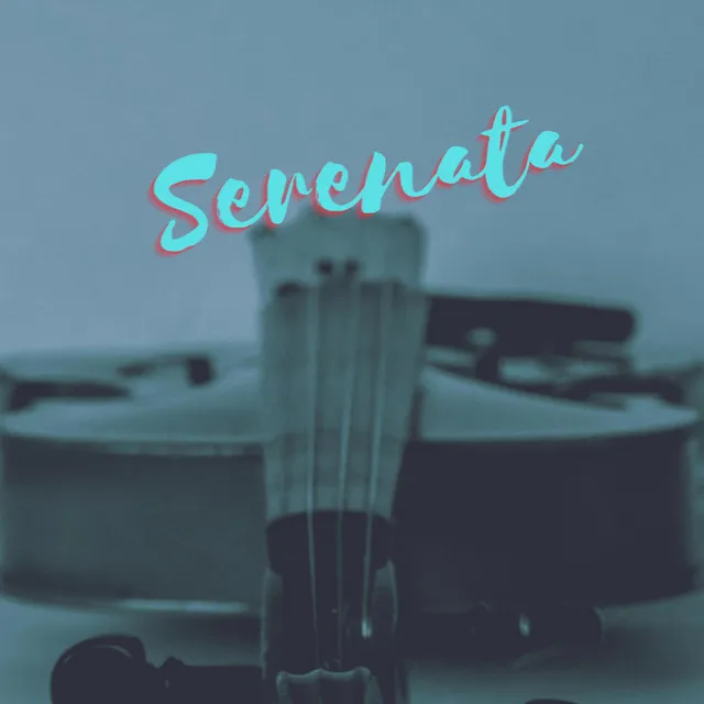 Serenata String Orchestra