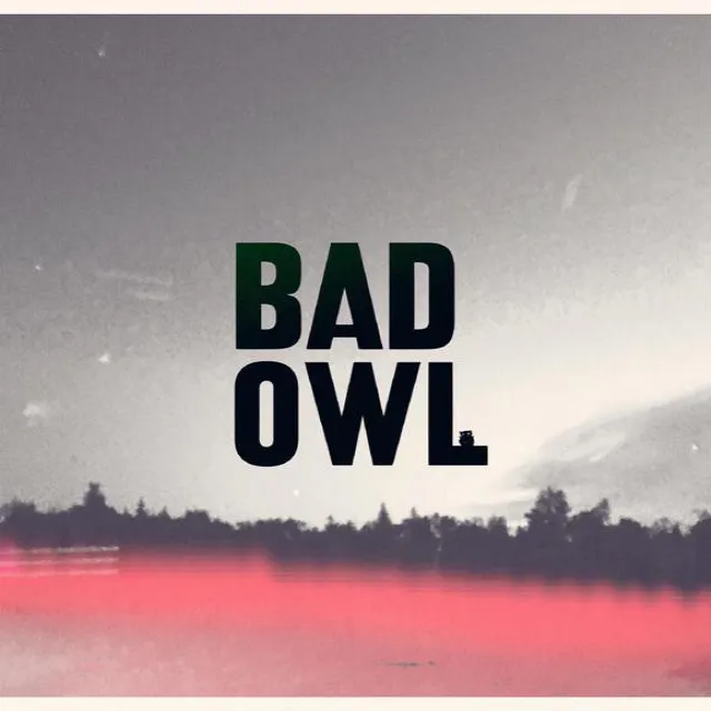 Bad Owl