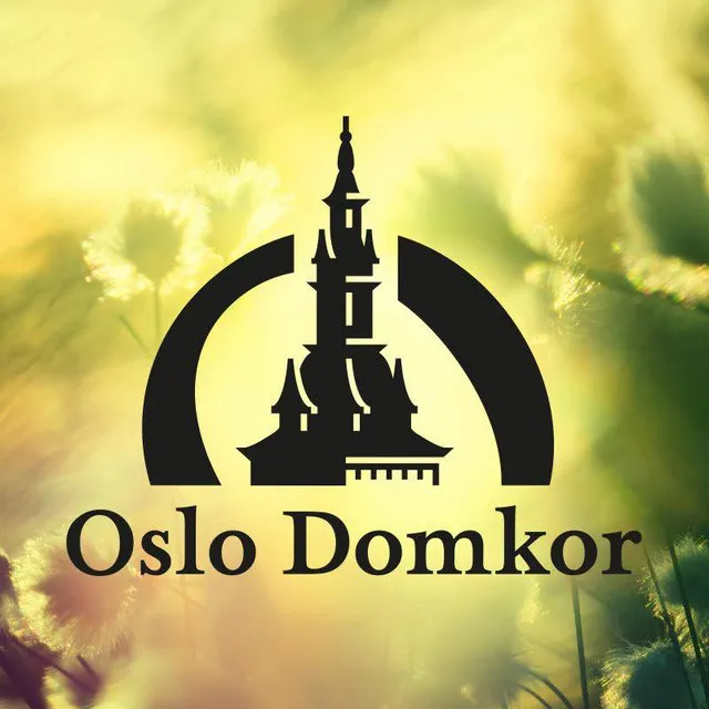 Oslo Domkor