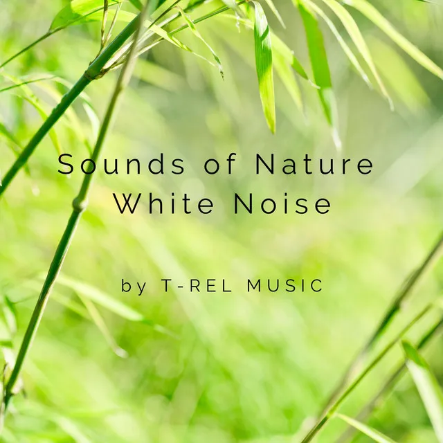 Sounds of Nature White Noise