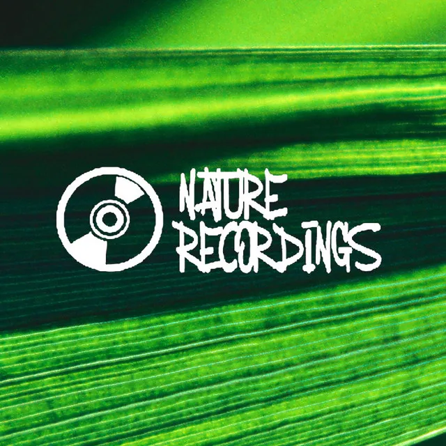 Nature Recordings