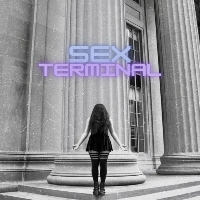 Sex Terminal