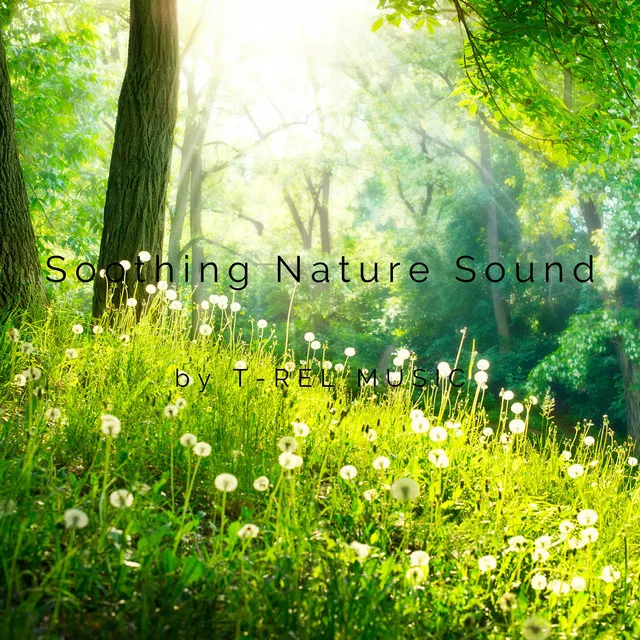 Soothing Nature Sound