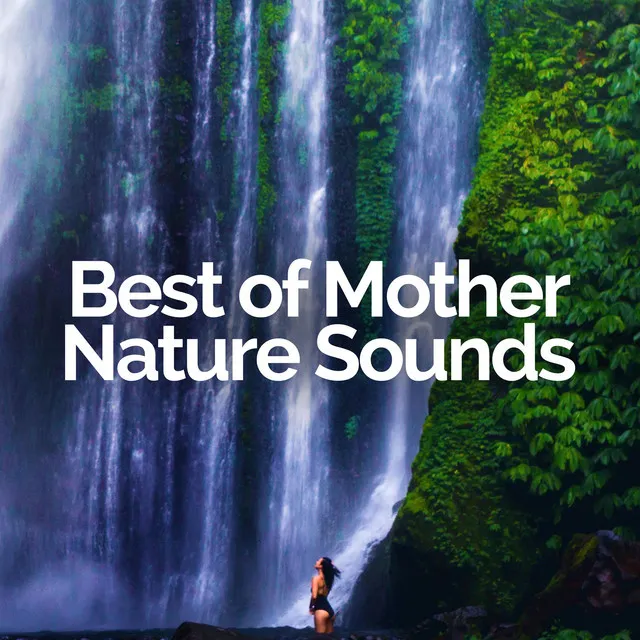 Best of Mother Nature Sounds