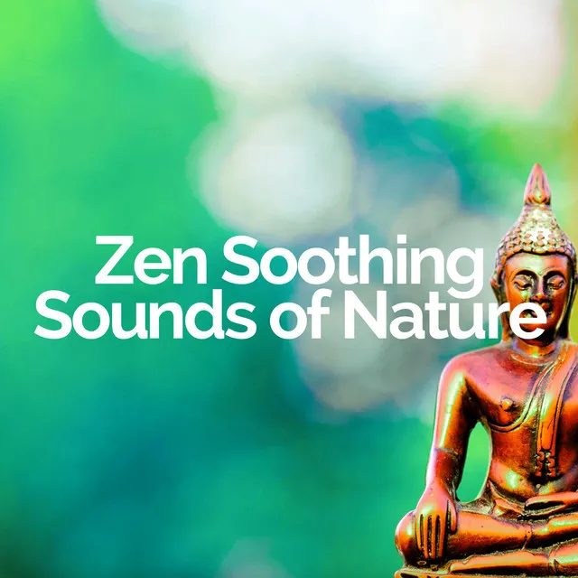 Zen Soothing Sounds of Nature