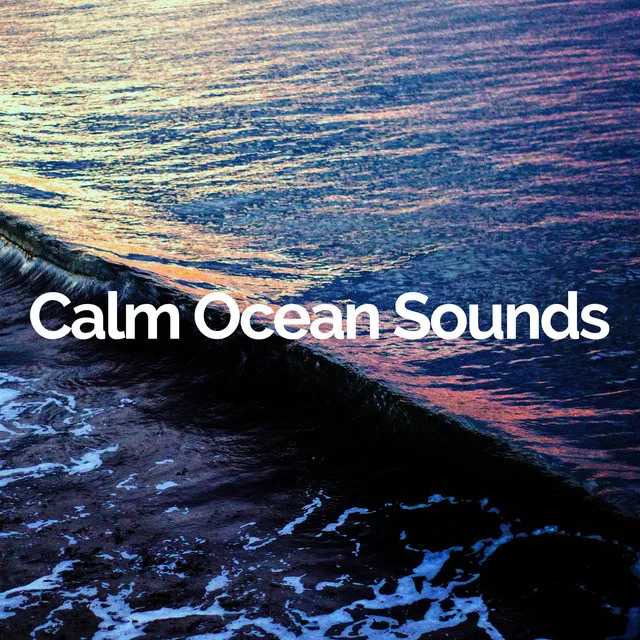 Calm Ocean Sounds