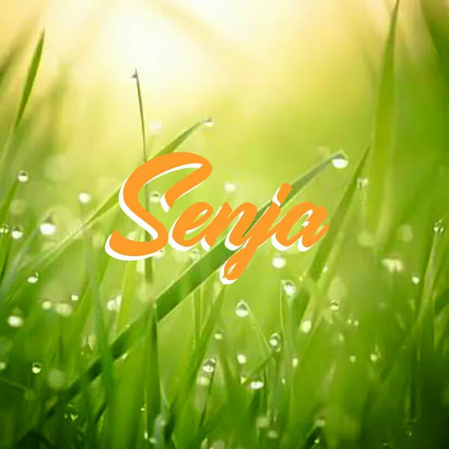 Senja